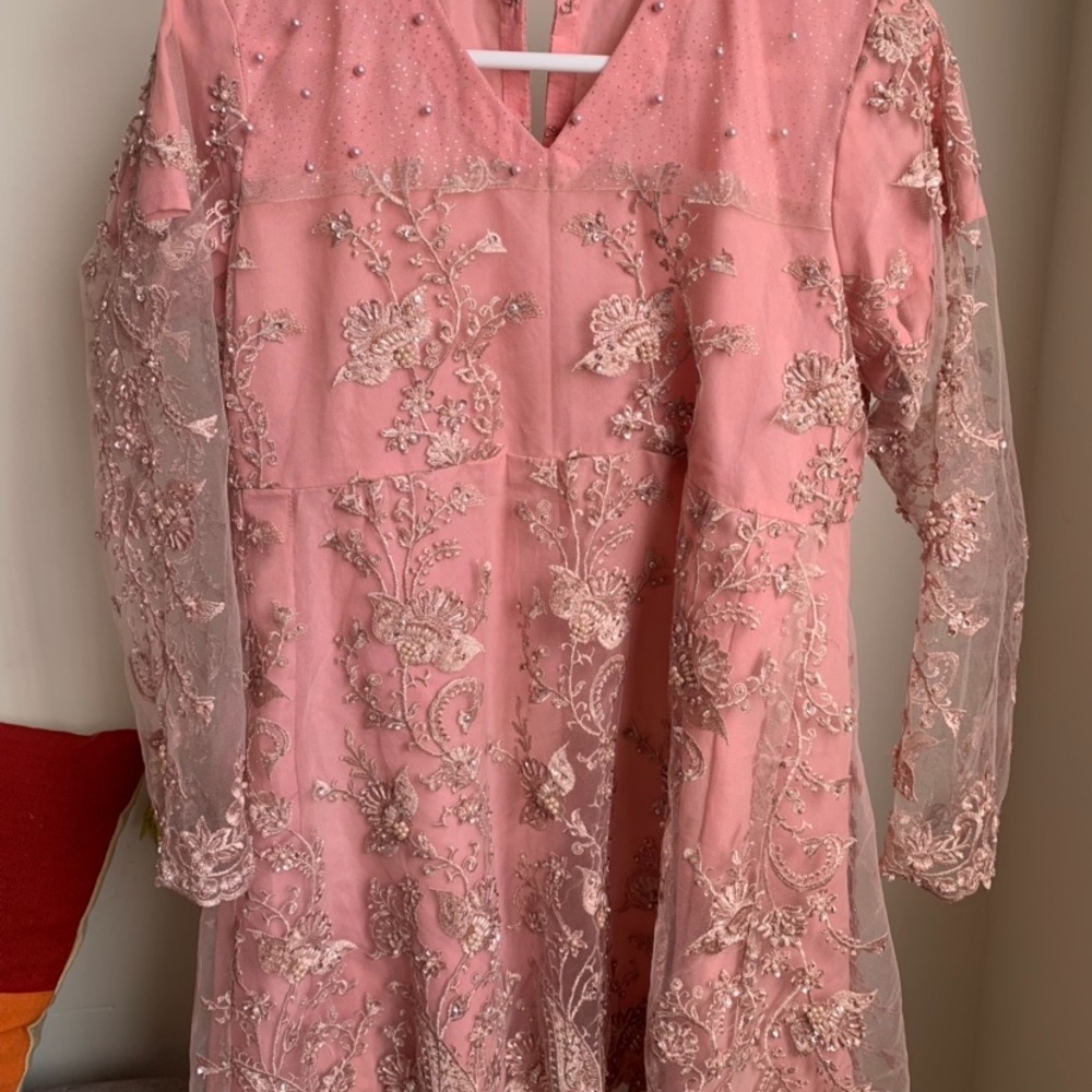 Net embroidery dress
